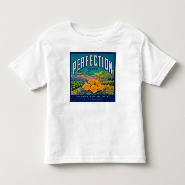 Camiseta Infantil Perfeição LabelColton alaranjado, CA (Frente)
