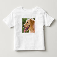 Perfil De Retriever Do Ouro Com A Saída Da Língua