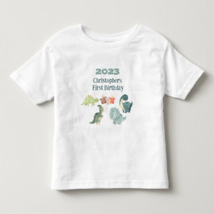 Camiseta Infantil Personalizar Nome Ano Primeiro Aniversário Dino Fo
