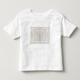 Camiseta Infantil Peru 8