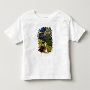 Camiseta Infantil Peru, Andes, Cordilheira dos Andes, Machu Picchu