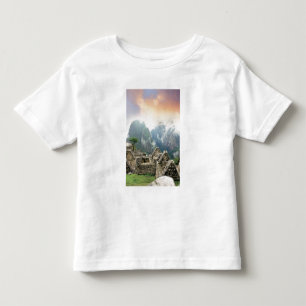 Camiseta Infantil Peru, Machu Picchu, a antiga cidade perdida de
