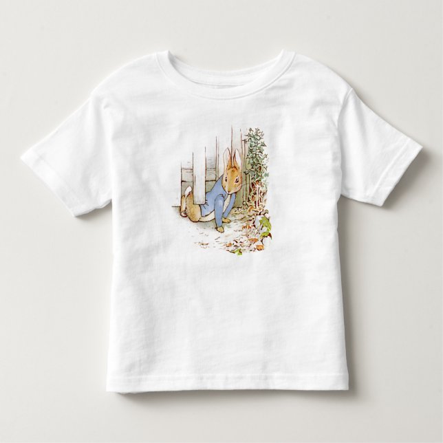 Camiseta Infantil Peter Rabbit -Shirt (Frente)