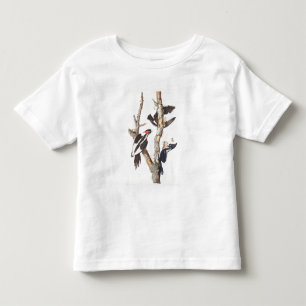 Camiseta Infantil pica-pau Marfim-faturado, 1829, (impressão)