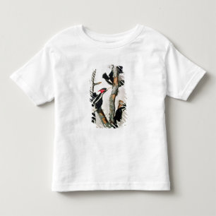 Camiseta Infantil pica-pau Marfim-faturado, 'dos pássaros de Americ