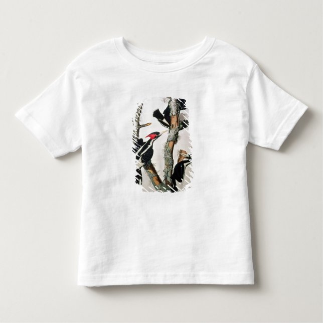 Camiseta Infantil pica-pau Marfim-faturado, 'dos pássaros de America (Frente)