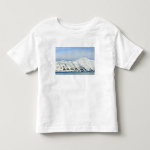 Camiseta Infantil Picos nevados Woodfjord Svalbard 2