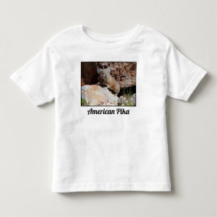 Camiseta Infantil Pika Americano Empoleirado na Rocha