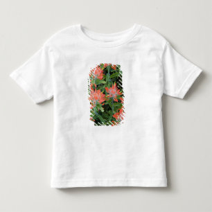 Camiseta Infantil Pincéis de índio em Many