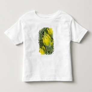 Camiseta Infantil Pincel de Ouro Indiano Castilleja