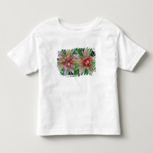 Camiseta Infantil Pincel Indiano, Banff NP, Alberta, Canadá
