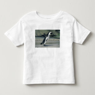Camiseta Infantil Pinguim-africano