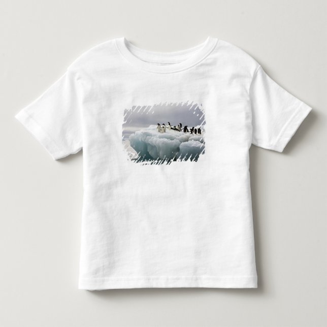 Camiseta Infantil Pinguim-de-adélia (Pygoscelis adeliae), (Frente)