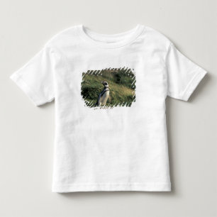 Camiseta Infantil Pinguim-de-magalhães (Spheniscus magellanicus),