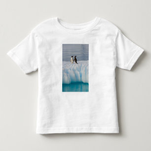 Camiseta Infantil pingüim-gentoo, Pygoscelis Papua, no gelo glacial