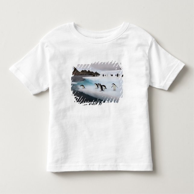 Camiseta Infantil Pinguins Chinstrap (Frente)