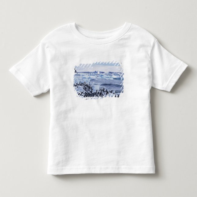 Camiseta Infantil Pinguins-de-adélia Pygoscelis adeliae (Frente)