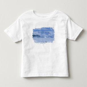 Camiseta Infantil Pinguins-de-adélia, Pygoscelis adeliae),