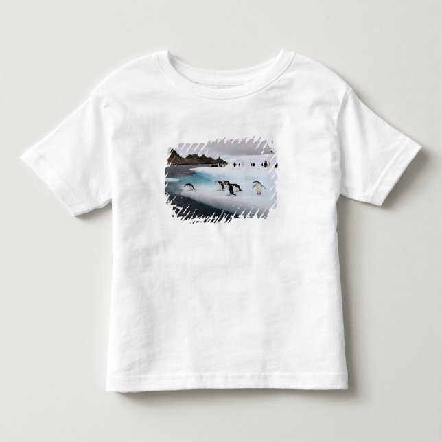 Camiseta Infantil Pinguins-de-barbicha (Frente)