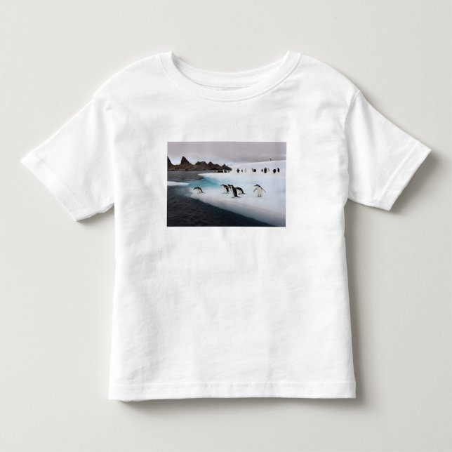 Camiseta Infantil Pinguins-de-barbicha (Frente)