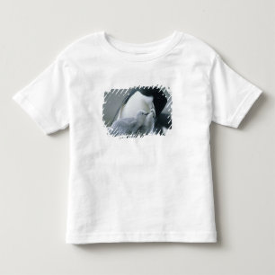 Camiseta Infantil Pinguins-de-barbicha, Pygoscelis antarctica),