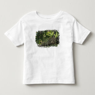 Camiseta Infantil Pinho Rosa, Bletia purpurea, florescendo em Manga