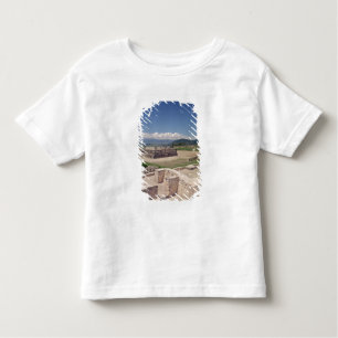 Camiseta Infantil Pirâmide da serpente emplumada