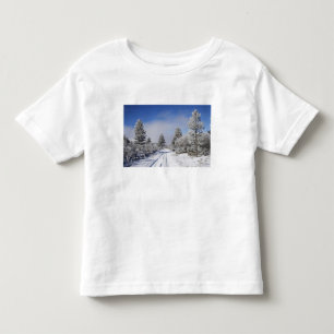 Camiseta Infantil Pista Nevada e Pinheiros, Cambrians, perto de St