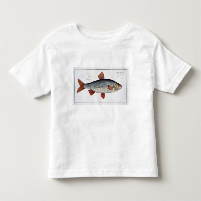 Camiseta Infantil Placa II da barata (Cyprinus Rutilis) 'de (Frente)