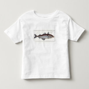 Camiseta Infantil Placa LXII da arinca (Gadus Aeglefinus) 'de Ichthy