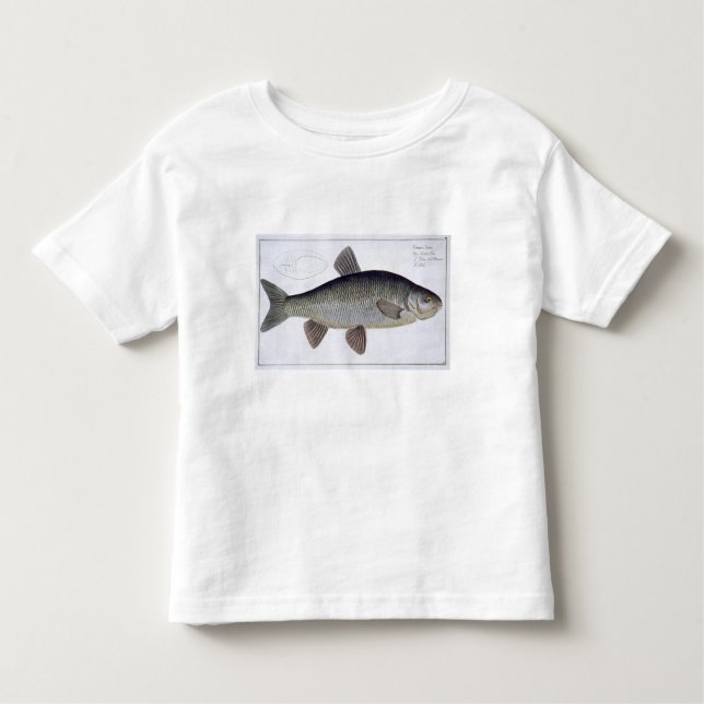 Camiseta Infantil Placa VI do caboz (Cyprinus Jeses) 'de (Frente)