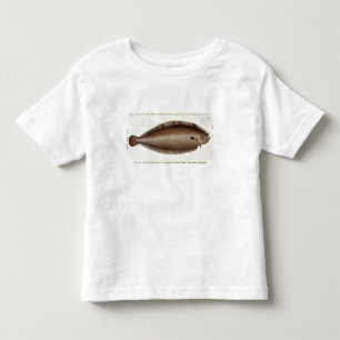 Camiseta Infantil Placa XLV do linguado (Solea Solaea) 'de Ichthyol