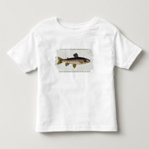 Camiseta Infantil Placa XXIII da truta de Brown (Salmo Iasustris)