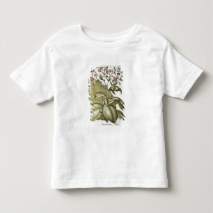 Camiseta Infantil Planta de tabaco, do "Hortus Eystettensis" por B