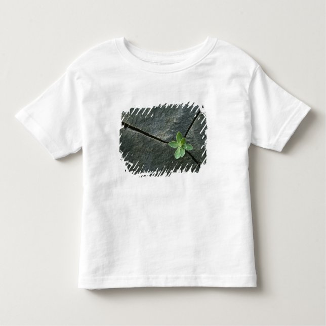 Camiseta Infantil Planta que cresce em Boulder rachado (Frente)