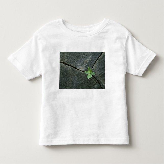 Camiseta Infantil Planta que cresce em Boulder rachado (Frente)