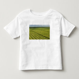 Camiseta Infantil Plantações de Cana-de-Açúcar, Guiana