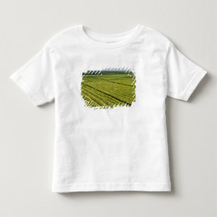 Camiseta Infantil Plantações de Cana-de-açúcar, Guiana