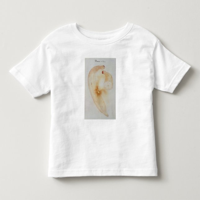 Camiseta Infantil Plantain do chifre (Frente)