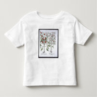 Plantas da pimenta, 'do Hortus Eystettensi