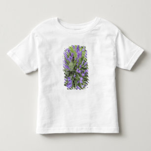 Camiseta Infantil Plantas de lavanda