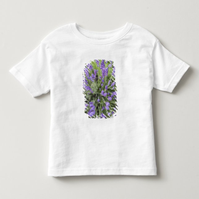 Camiseta Infantil Plantas de lavanda (Frente)