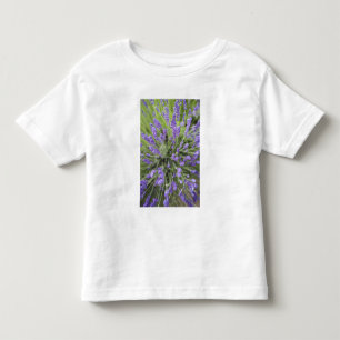 Camiseta Infantil Plantas de lavanda