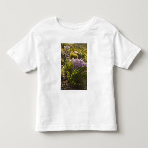 Camiseta Infantil plantas do deserto de Chihuahuan em flor