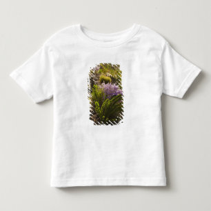 Camiseta Infantil Plantas do deserto de Chihuahuan em flor