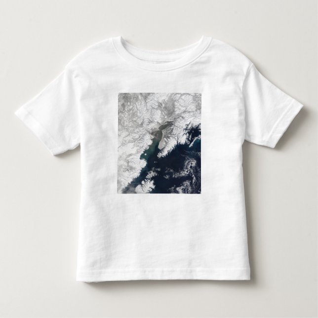 Camiseta Infantil Pluma de cinzas do Monte Redúvida, no Alasca (Frente)