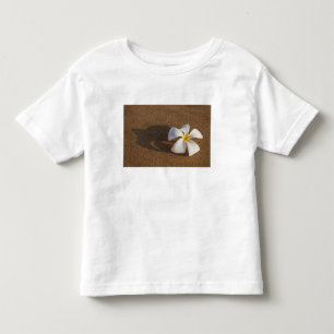 Camiseta Infantil Plumeria em praia arenosa, Maui, Havaí, EUA