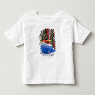 Camiseta Infantil Pólos de bandeiras de oração na montanha, Yotongla