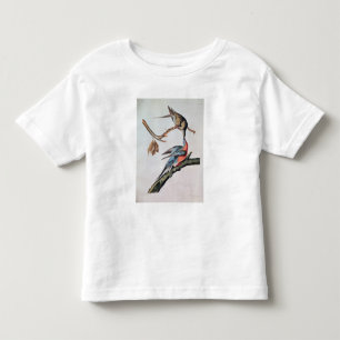 Camiseta Infantil Pombo de passageiro, 'dos pássaros de America