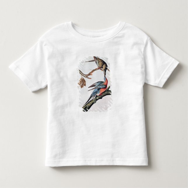 Camiseta Infantil Pombo de passageiro, 'dos pássaros de America (Frente)